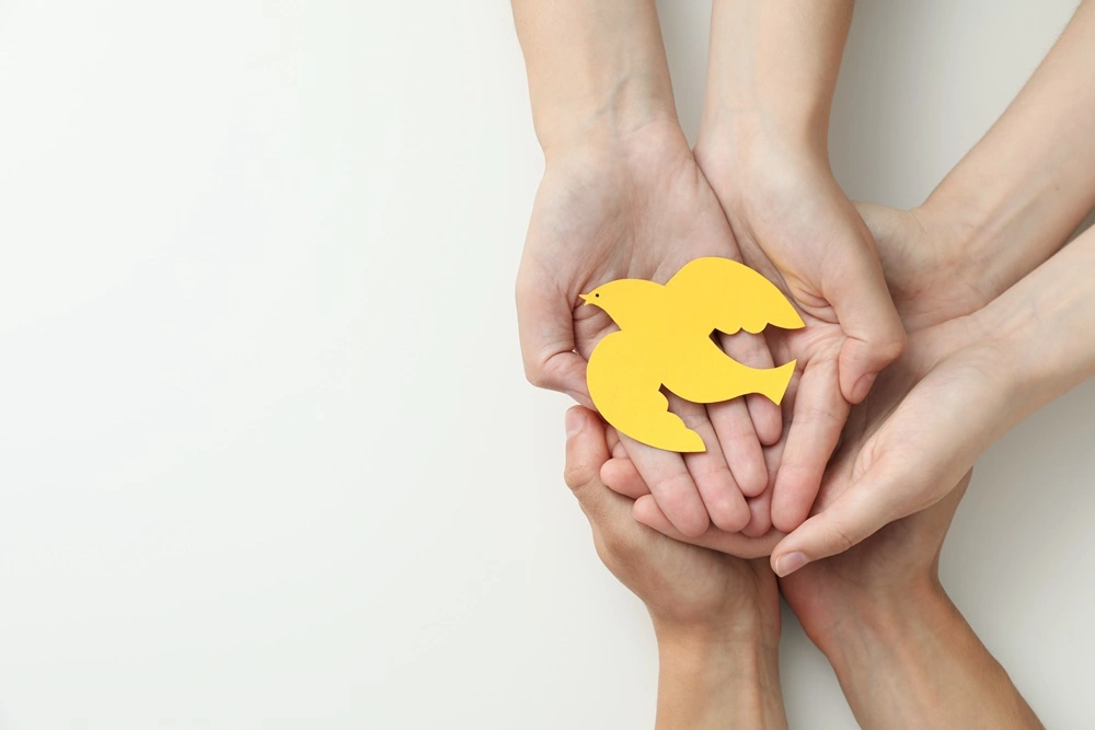 NGO 모금캠페인 결제대행